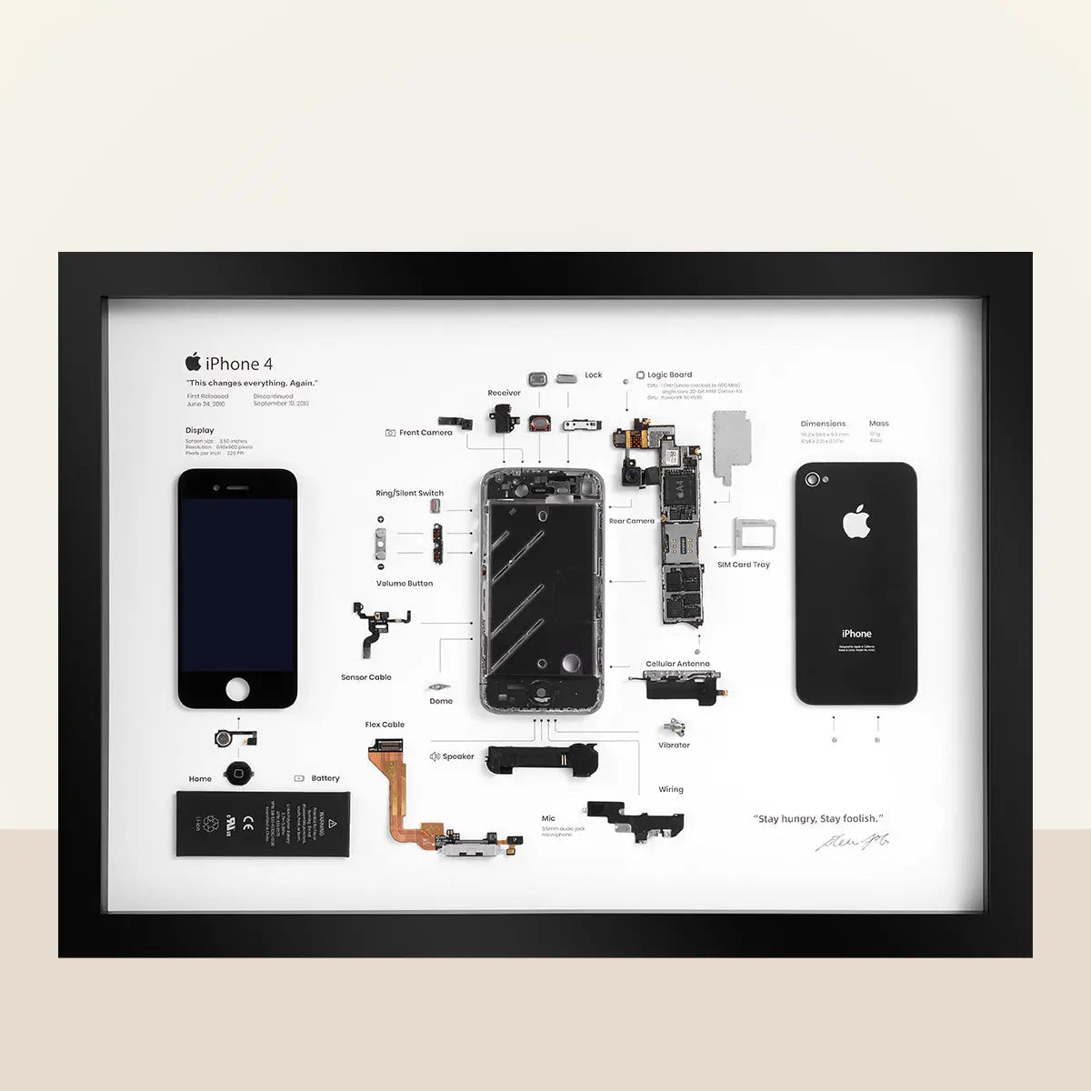 Framed diagram of an iPhone 4 showing its components on a white background